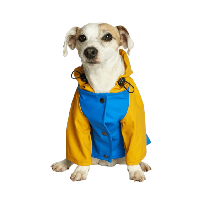 Chubasquero Sarah Azul y Amarillo para perros Gentlecan
