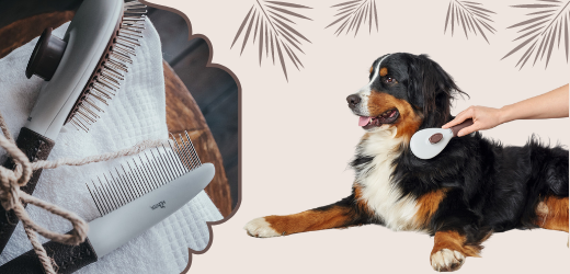 Cepillo Para Perros de Cuidados Autolimpiable