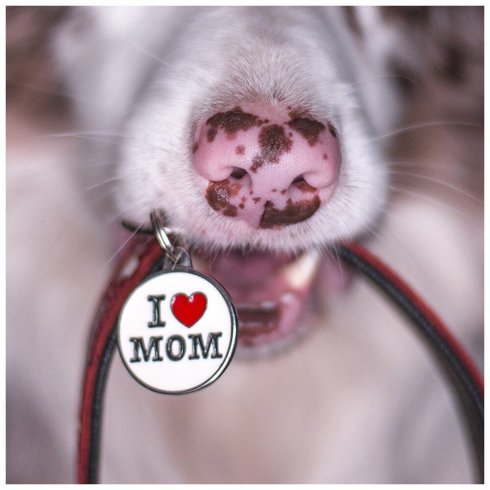 Chapa Charms “I Love Mom” Gentlecan