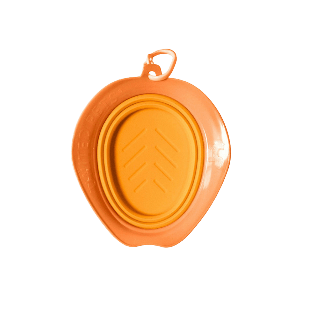 Bowl de Silicona Plegable Naranja Gentlecan