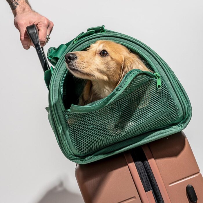 El Bolso de Viaje para Perros Spruce Gentlecan