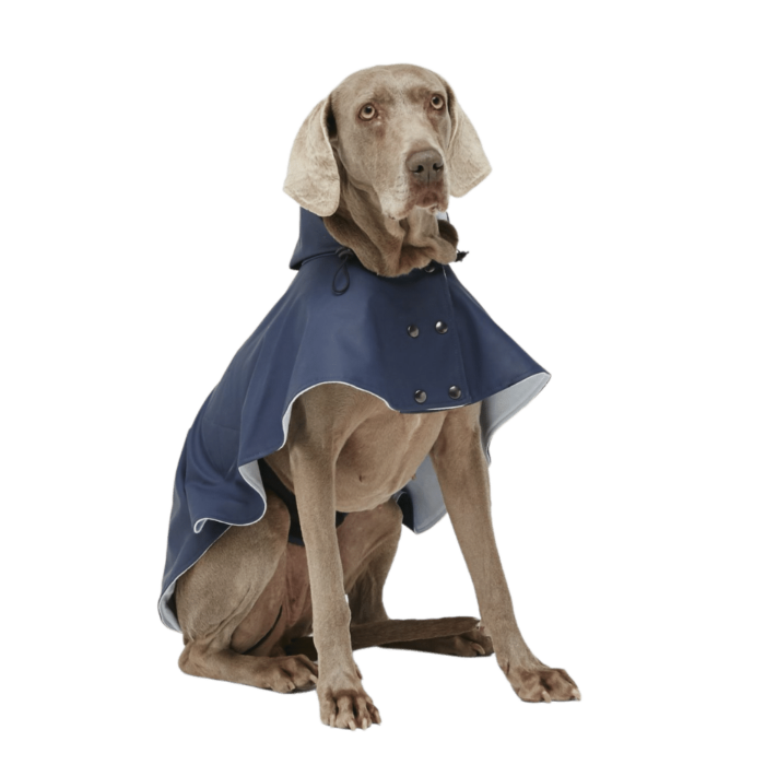 Capa Impermeable para perros William Azul Gentlecan