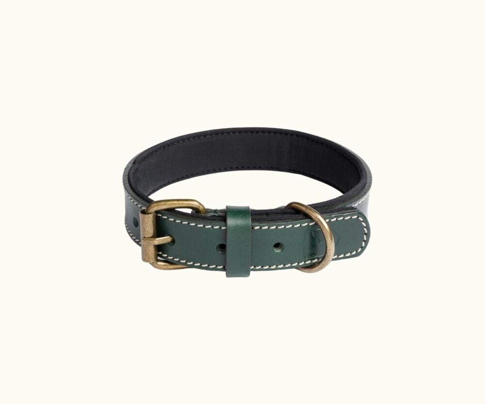 Collar Para Perros Neo Forest Green