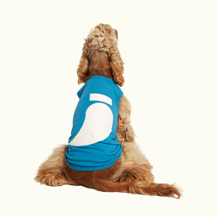 Camiseta Para Perros Imi Azul Gentlecan