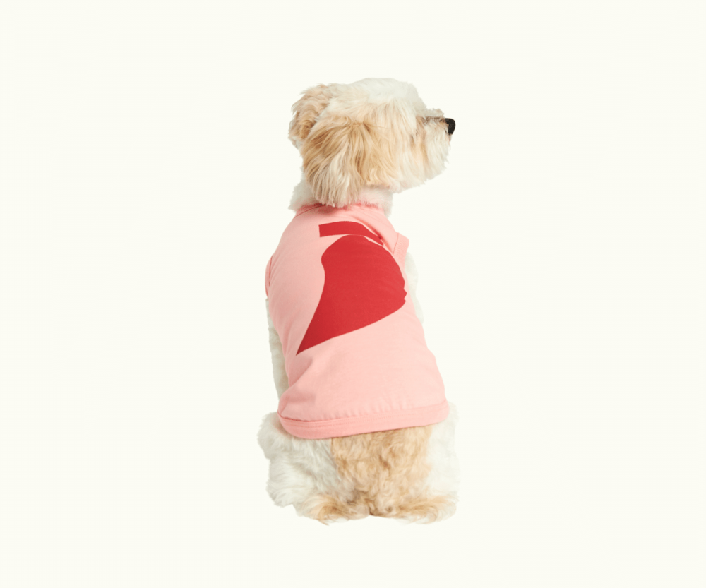 Camiseta Para Perros Imi Rosa