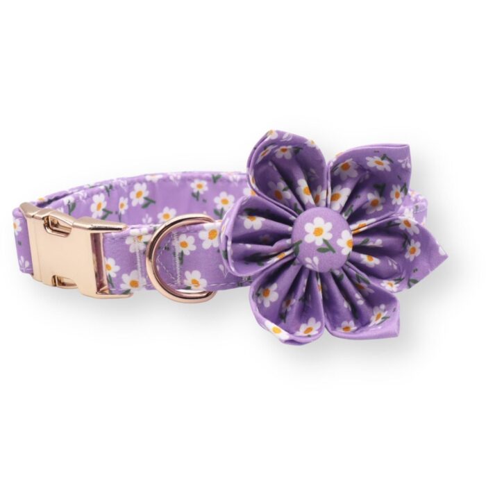 Collar Para Perros Flor Daisy Purple Gentlecan