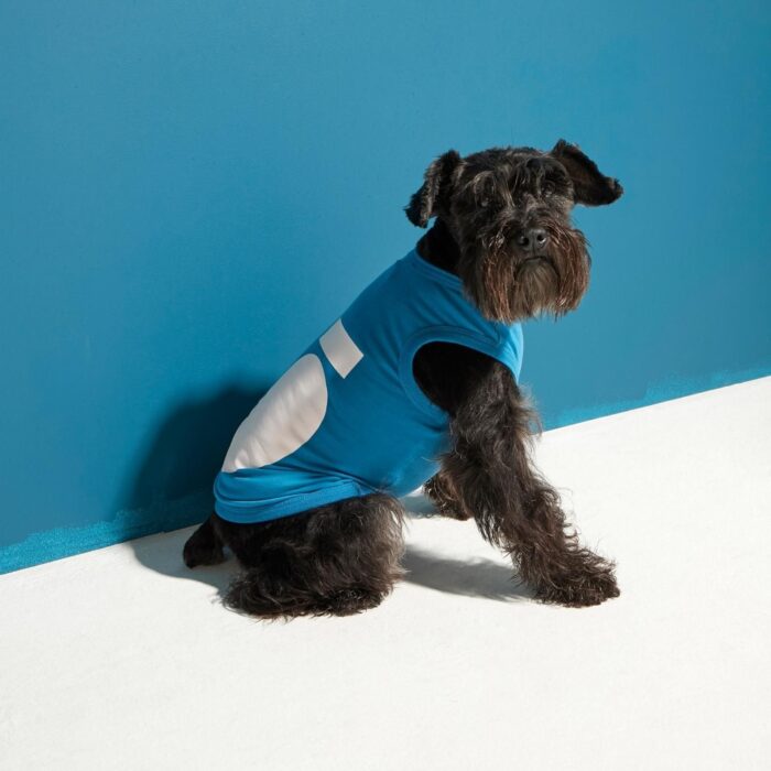 Camiseta Para Perros Imi Azul Gentlecan