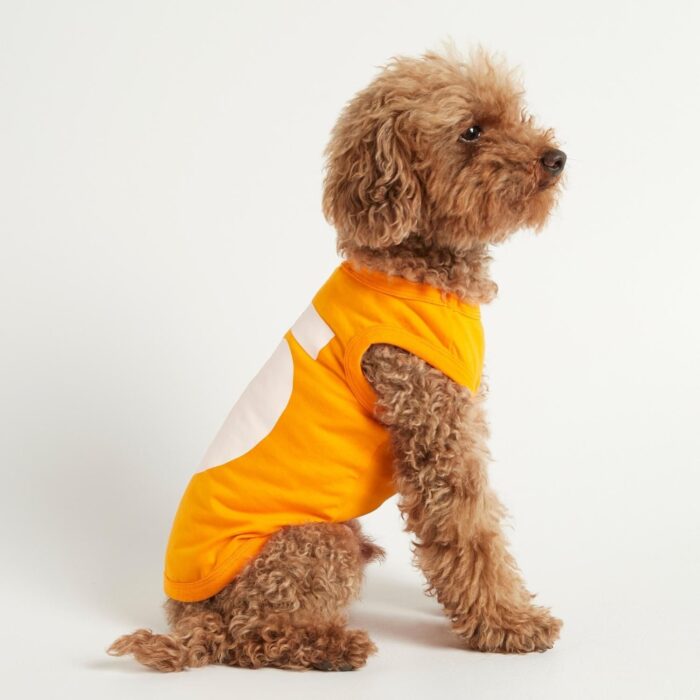 Camiseta Para Perros Imi Naranja Gentlecan