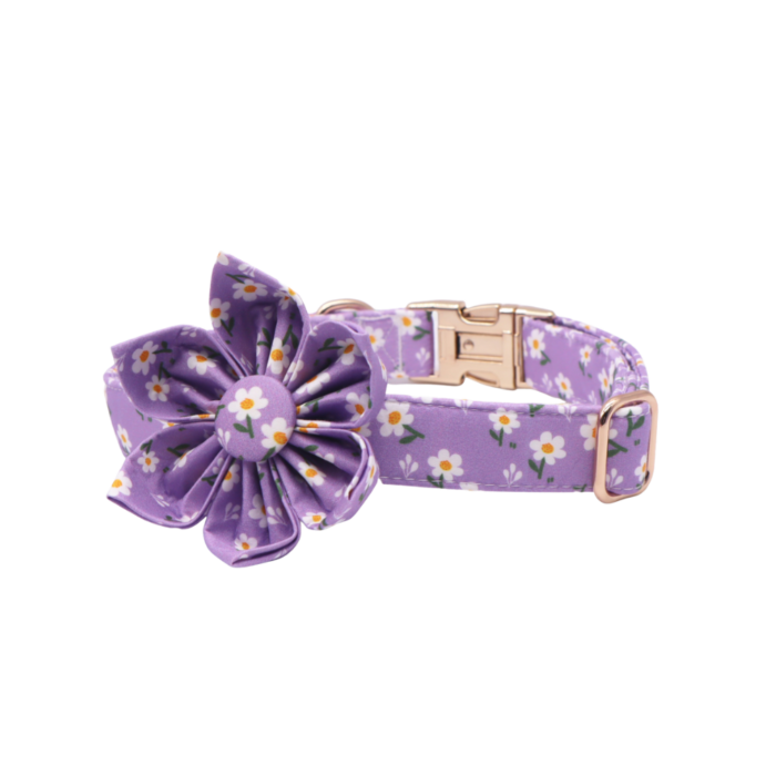 Collar Para Perros Flor Daisy Purple Gentlecan