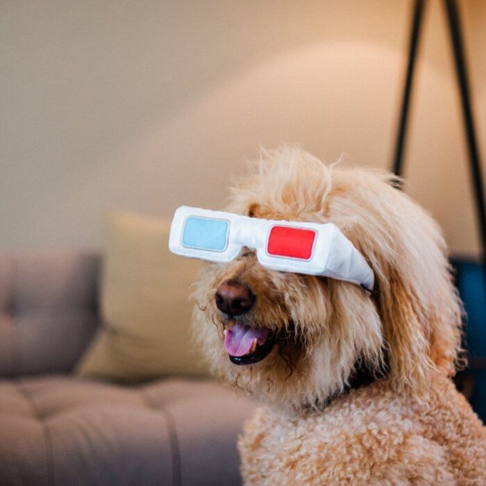 Peluche Para Perros Hollywoof Gafas 3D Gentlecan
