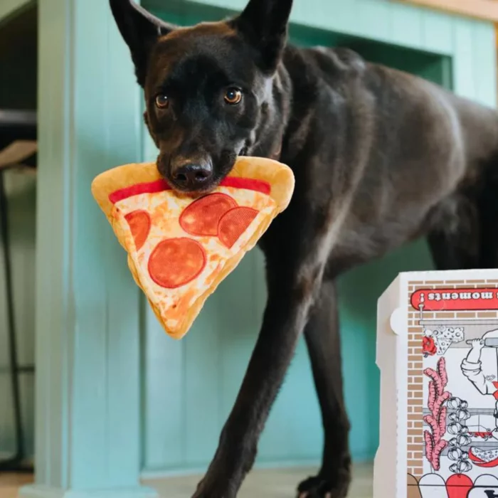 Peluche para perros Pizza Gentlecan